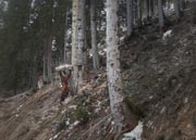 YIIM2337-Bearbeitet-Bearbeitet